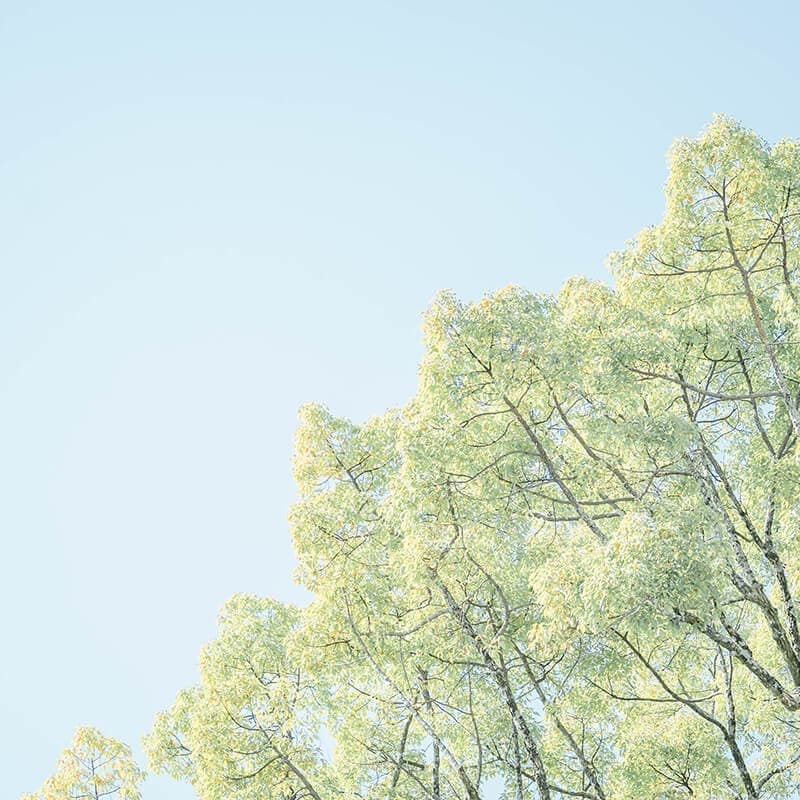 ユーモアウェディング｜家族と神社婚