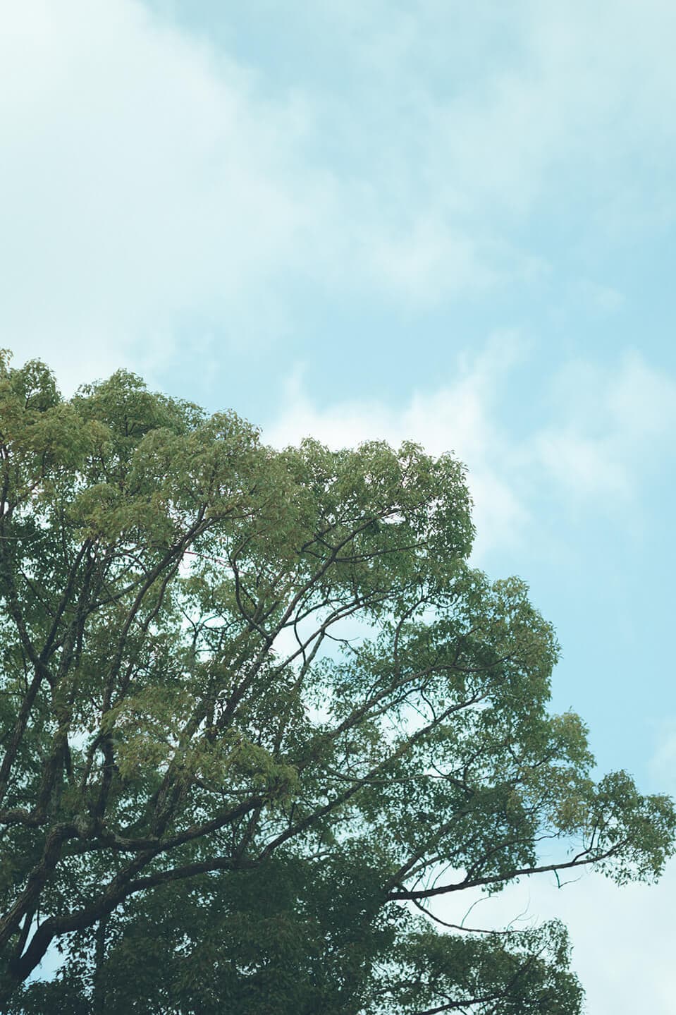 ユーモアウェディング｜高木孝昌